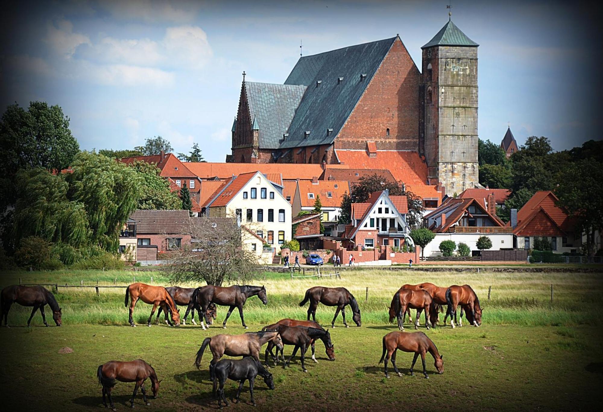 Landhotel Zur Linde Verden an der Aller Exteriör bild